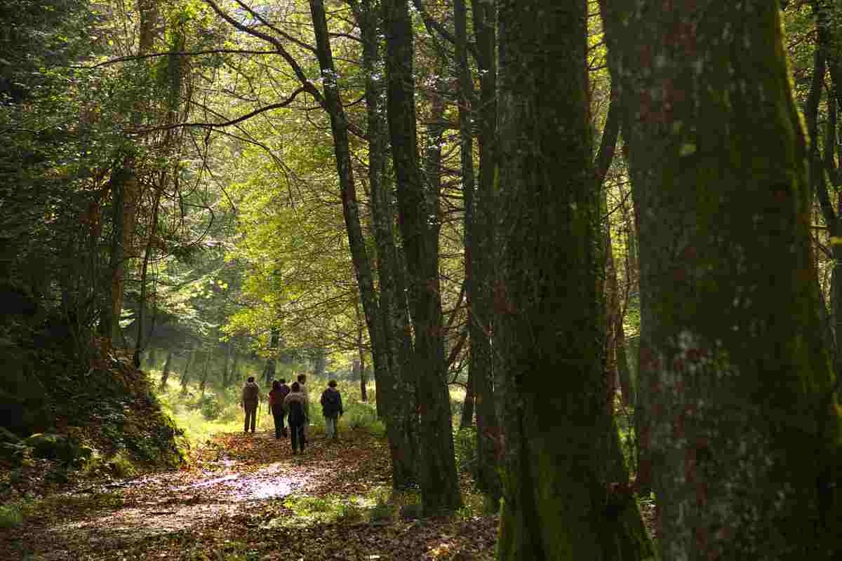 In bici nel Parco delle Foreste Casentinesi