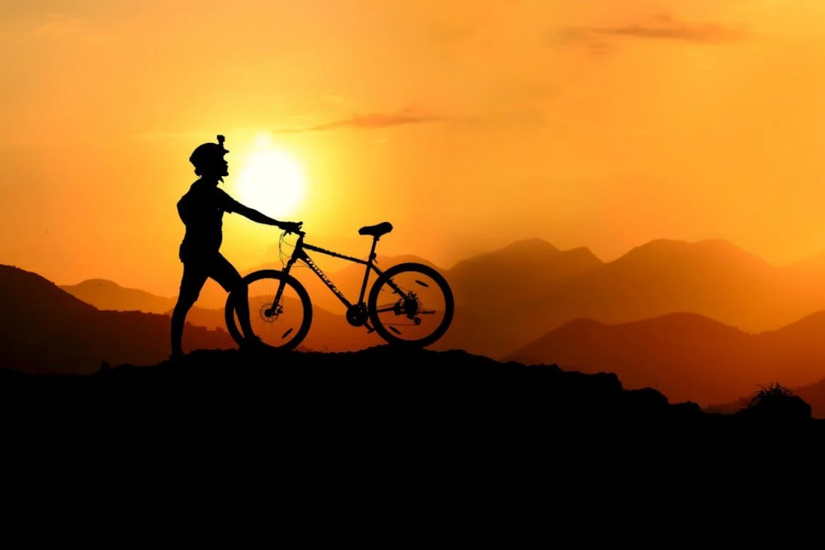 Il successo dei bike hotel