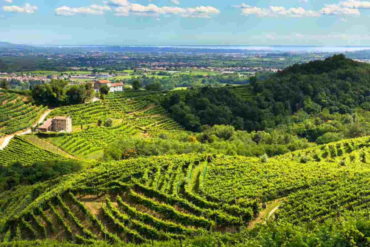 bici e prosecco