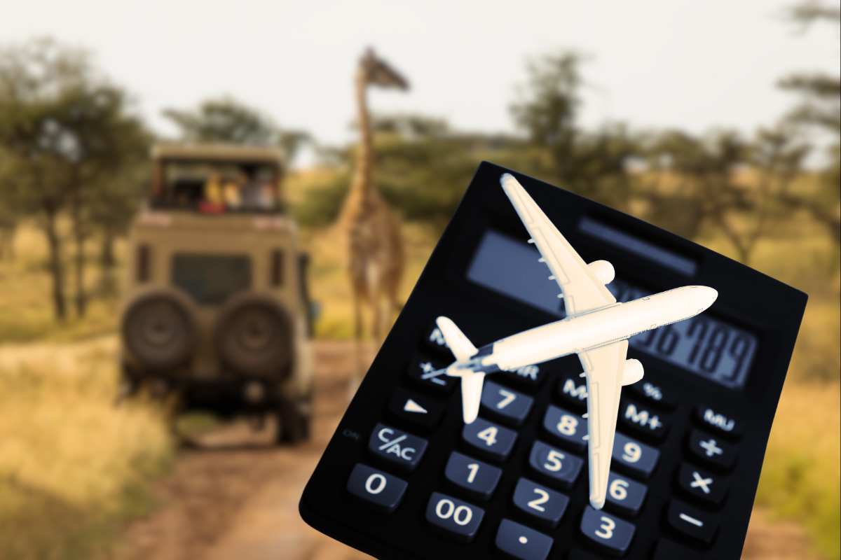 safari africa organizzazione