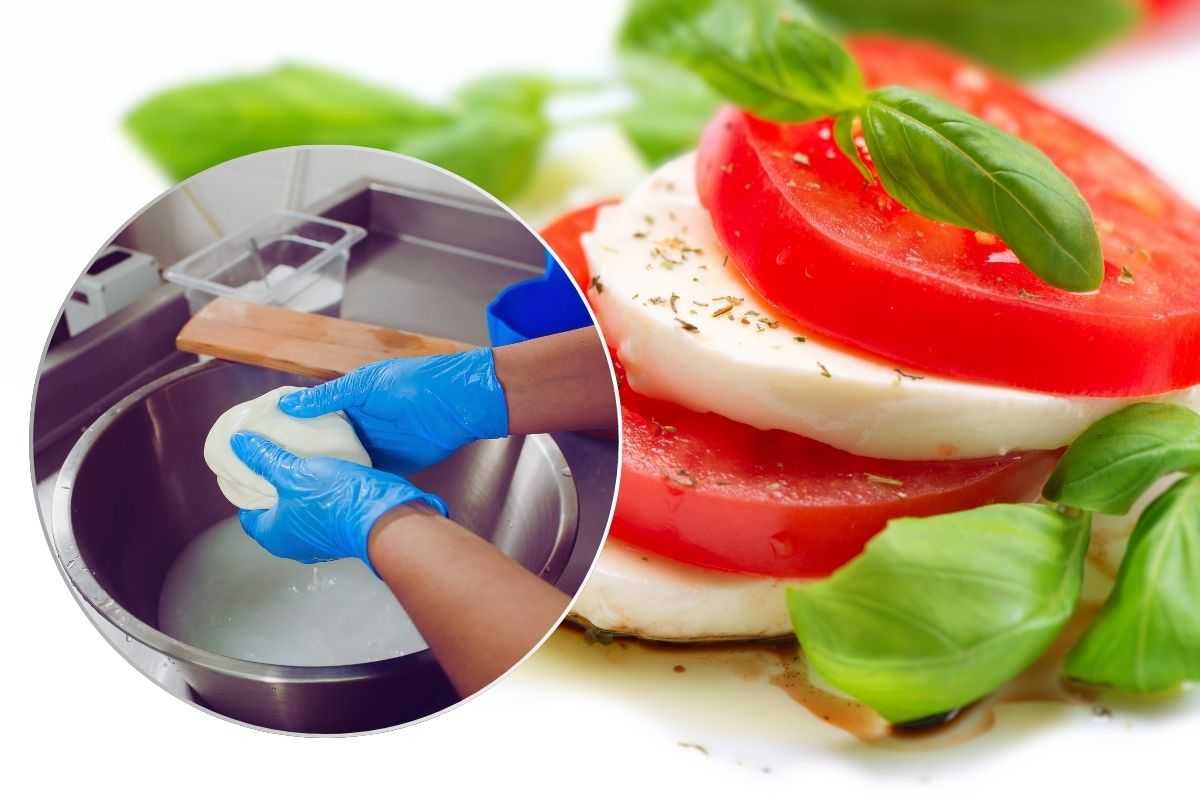 mozzarella vegana ricetta