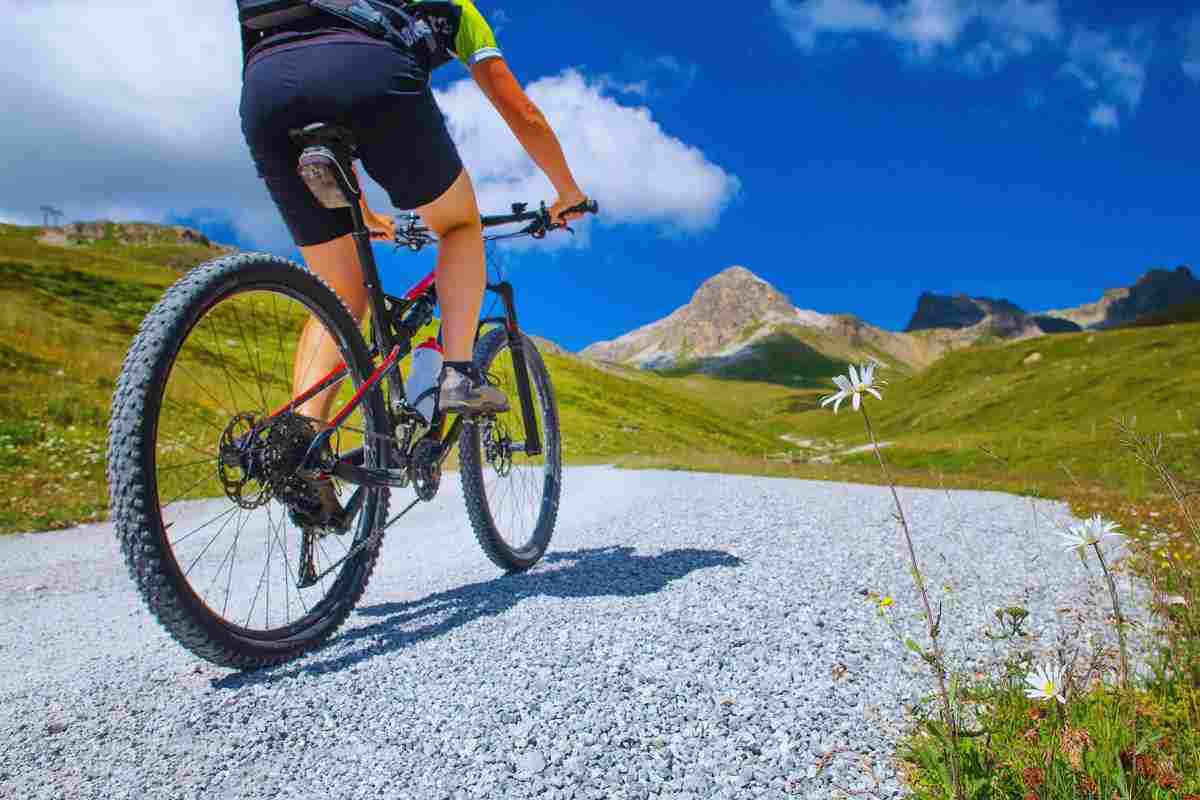 Bici e modelli