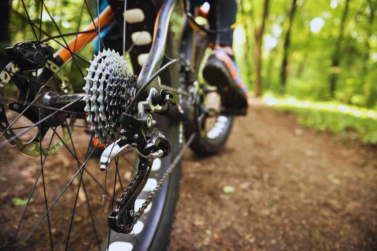 Bici giganti ecco come